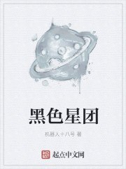 在暴雪时分