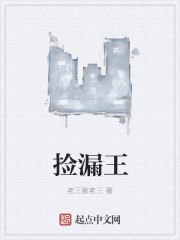 捡漏王