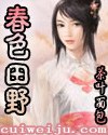 田野的春天