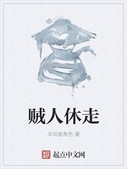 贼人休走
